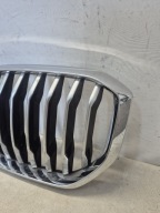 BMW X5 G05 18-23 grill grill
