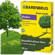 Trawa BARENBRUG Shadow mieszanka w cień i słońce 1kg TERENY SŁONECZNE SUCHE