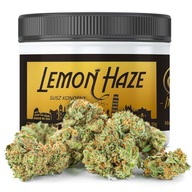 CBD SUSZ KONOPNY 10g | LEMON HAZE PREMIUM ŚWIEŻE ZBIORY