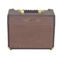 AKUSZTIKUS ERŐSÍTŐ EVER PLAY 25C