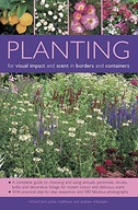 Planting for Visual Impact and Scent in Borders