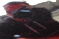 mirror left CHROM EU 010681 AUDI A4 B6 00-05 5 PIN