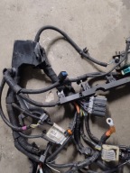 bundle motor wiring ford fiesta mk7 1.25 BA6T-12A522-ACE