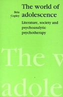 The World of Adolescence: Literature, Society and