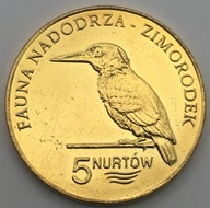 5 NURTÓW - ZIMORODEK - GMINA KOŁBASKOWO - FAUNA NADODRZA