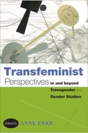 Transfeminist Perspectives in and beyond