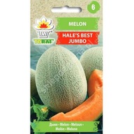 Melón Hale's Best Jumbo semená 1g ODOLNÁ VOČI SUCHU