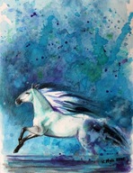 Akvarel Biely kôň bežiaci cez vodu kone A3
