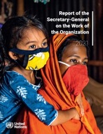 Report of the Secretary-General on the Work of