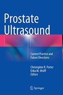 Prostate Ultrasound: Current Practice and Future
