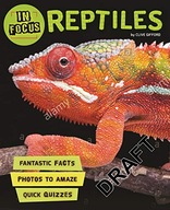In Focus: Reptiles Taylor Barbara