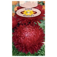 Semená Aster peonový čierny 1 g Roltico