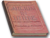 Gaudium in litteris czyli radość z odczytywania napisów
