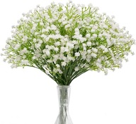 Gipsówka stabilizowana gypsophila suszone rośliny 10pcs