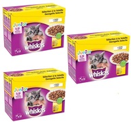 WHISKAS Junior 36x100g drobiowa uczta mokra karma dla kociąt w galaretce