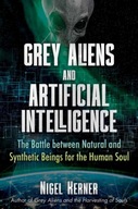 Grey Aliens and Artificial Intelligence: The