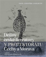 Dějiny české literatury v p... Pavel Janoušek;kol.