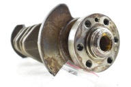 crank VW PASSAT B6 GOLF V OCTAVIA II LEON 1P 2.0 TDI BKD