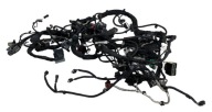 cablaggio motore FORD EXPLORER 19- L1MT-14290-BBYE