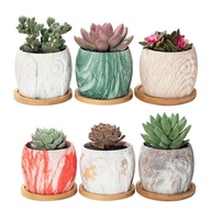 1 Set of 12Pcs Ceramic Flower Pots Fleshiness