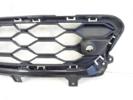 grid of a bumper front front central MINI COUNTRYMAN LIFT 51119477043