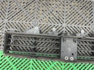 grille radiator (grill) front BMW 1 F40 5A48F41