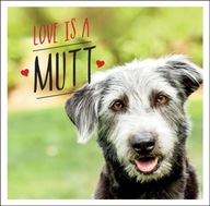 Love is a Mutt: A Dog-Tastic Celebration of the