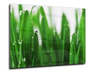 dekor szkło panel hartowany HD 90x60 trawa