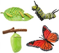 Safari Ltd - Sada figúrok - Životný cyklus motýľa 622616