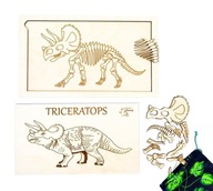 Triceratops, základná verzia, kostra dinosaura, kosti na skladanie