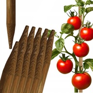 Tyczka Drewniany Palik do Roślin - Podpora do pomidorów - Fi 28 mm x 120 cm