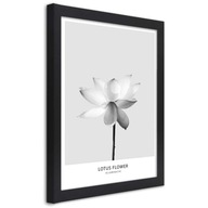 Obraz v ráme, Biely lotosový kvet - 70x100
