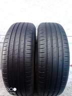 2× Goodyear EfficientGrip Performance 205/60 R16 92 H