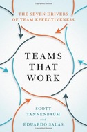 Teams That Work: The Seven Drivers of Team Effectiveness Tannenbaum, Scott