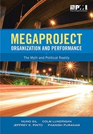 Megaproject Organization and Performance: The