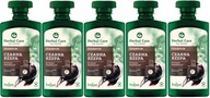 5 x HERBAL CARE ŠAMPON NA VLASY ČIERNA REPKA 330 ML Posilnenie vlasov