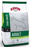 ARION ORIGINAL ADULT LARGE GIANT 12 KG