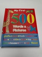 My First 500 Words & Pictures