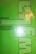 Baczyński i Różewicz - Kazimierz Wyka