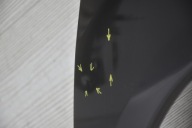 fender front front right LEXUS RX II