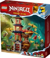 LEGO NINJAGO 71795 Świątynia smoczej energii