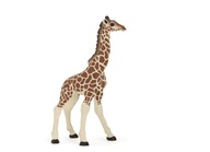 Zberateľská figúrka Žirafa mladá, Papo