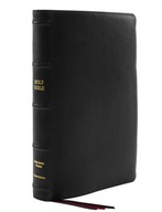 KJV, Thinline Bible, Large Print, Premium