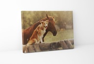 Obraz na płótnie pies rasy border collie i koń 120x50 cm