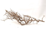 Naturalny Korzeń Drift Branch Bonsai do Akwarium Terrarium 43x17x17cm B10