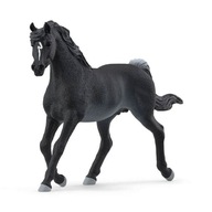 Schleich Horse Club Žrebec čistej arabskej krvi 13981