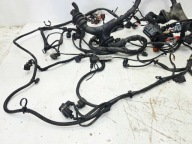 bundle motor wiring AUDI A6 C6 LIFT 3.0 TDI CDY 4F1971072PD 2/26