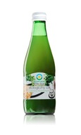 BIO FOOD Sok z selerów kiszonych BIO 300ml (BIO FO