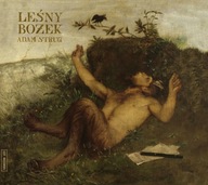 CD Adam Strug - Leśny Bożek