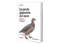 Uczenie głębokie od zera. Podstawy implementacji